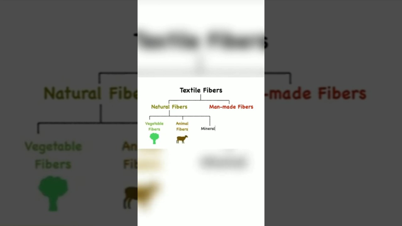 Classification of Textile Fiber 