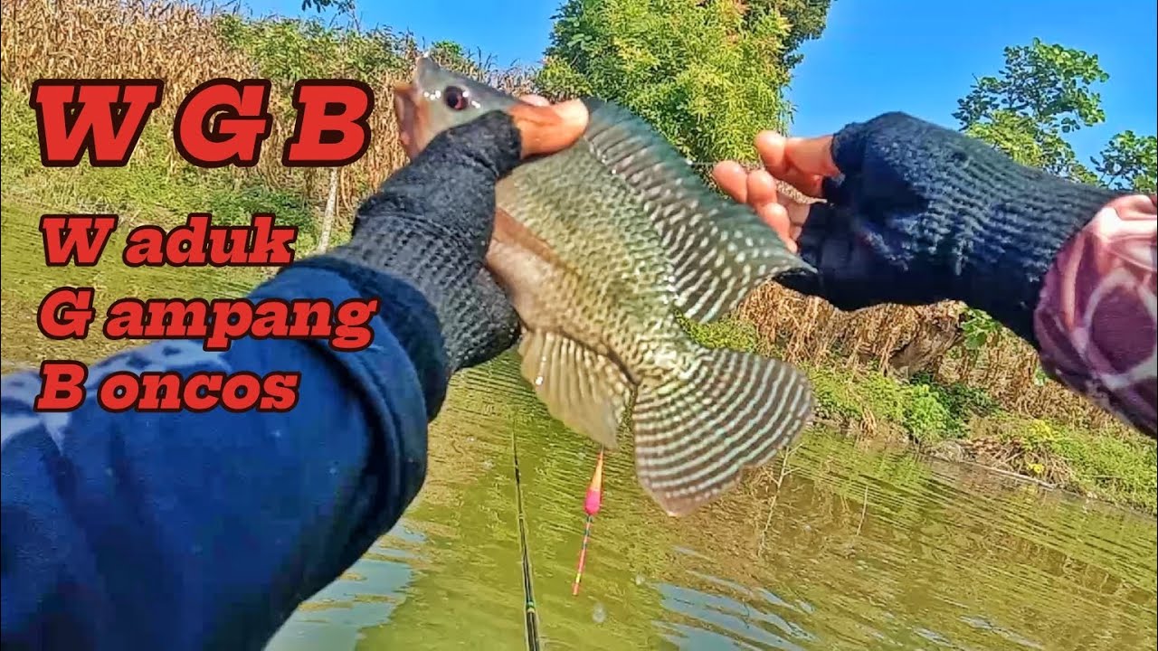 WGB WADUK GAMPANG BONCOS ‼️ GAK TAU INI NAMANYA SPOT APA || WADUK GONGSENG BOJONEGORO