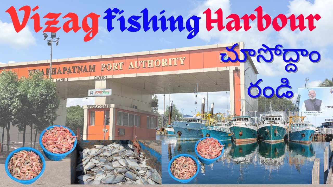 Vizag Fishing Harbour | Morning Fish Market Vibes | Visakhapatnam Port Life 2025&rdquo;