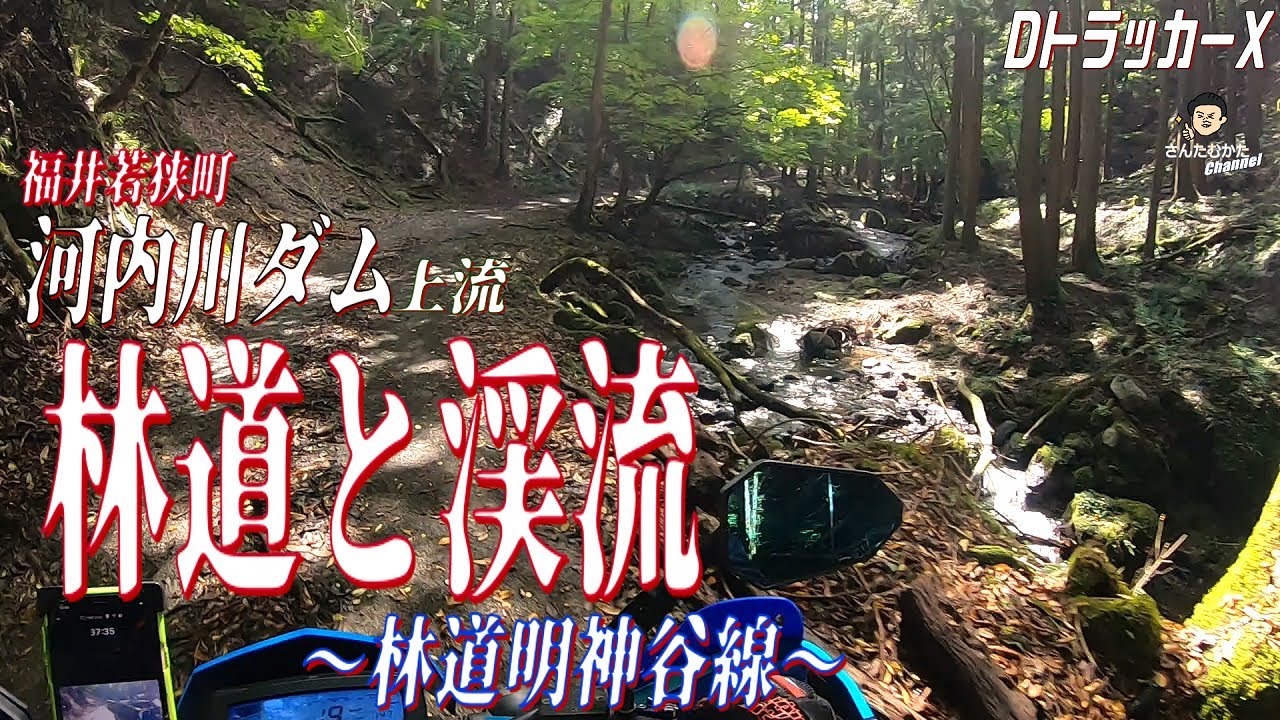 【DトラッカーX #192】河内川ダム上流林道を走る 苔に埋まった美しい明神谷と緑の映える若狭森林公園 ～寺山林道、若狭森林公園、明神谷林道　～ 【福井】【日帰りツーリング】