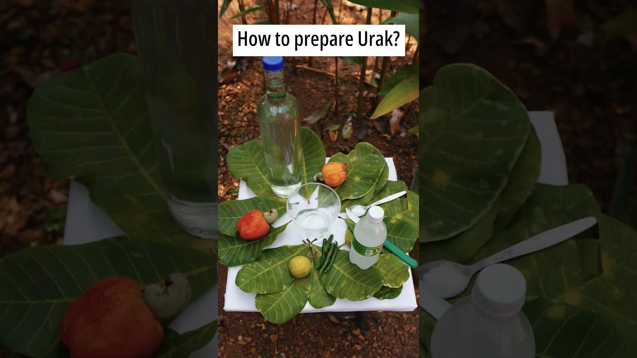 Urak! 🍻 Goan Drink Preparation