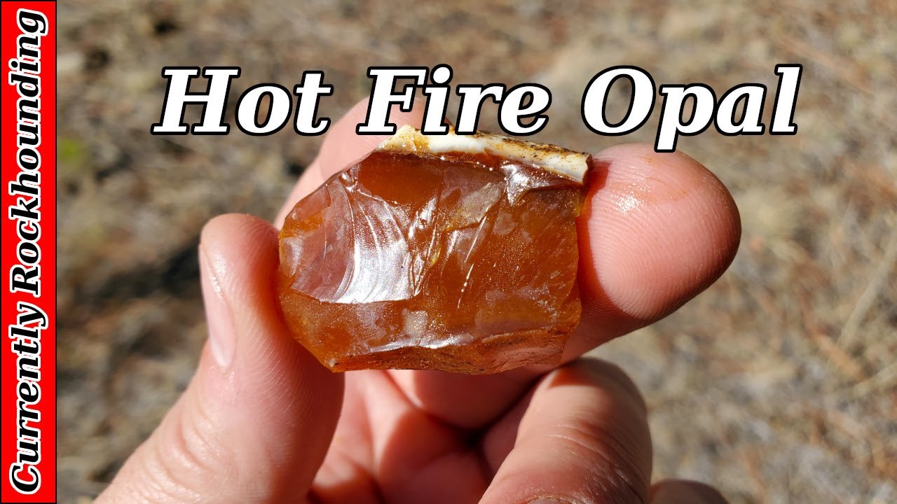 Opal Discovery in Eastern Washington // Rockhounding History in The Making