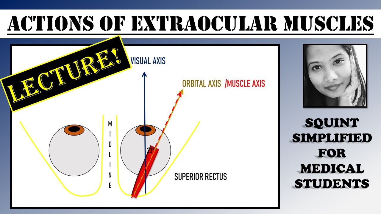 Actions of Extraocular Muscles (Lecture) | Squint Simplified For Medical Students