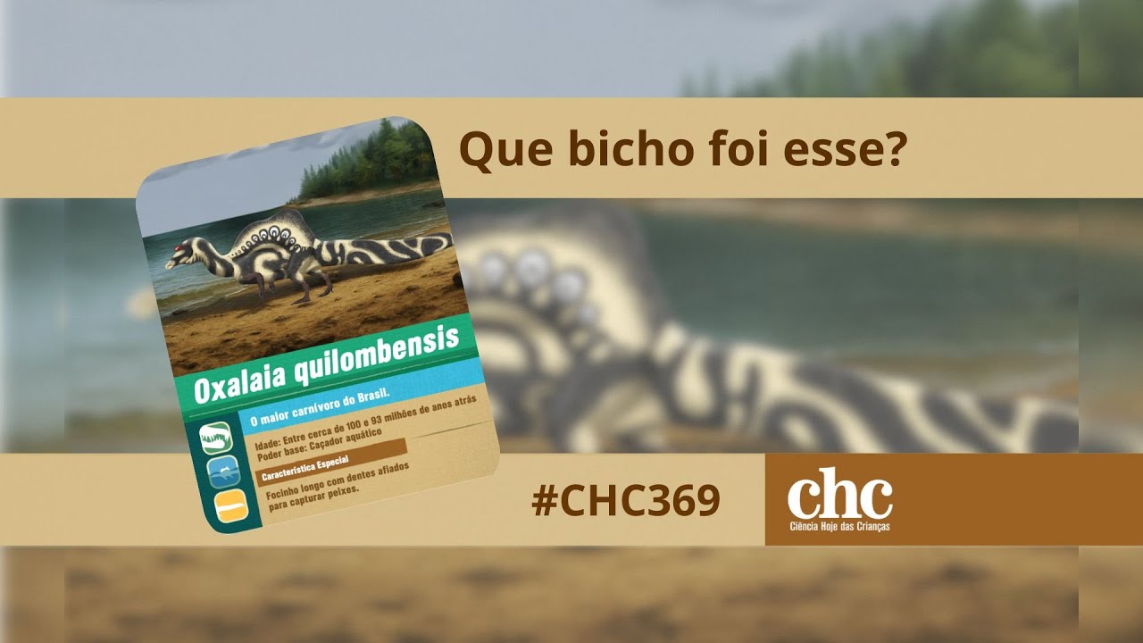 Que bicho foi esse? - Oxalaia quilombensis