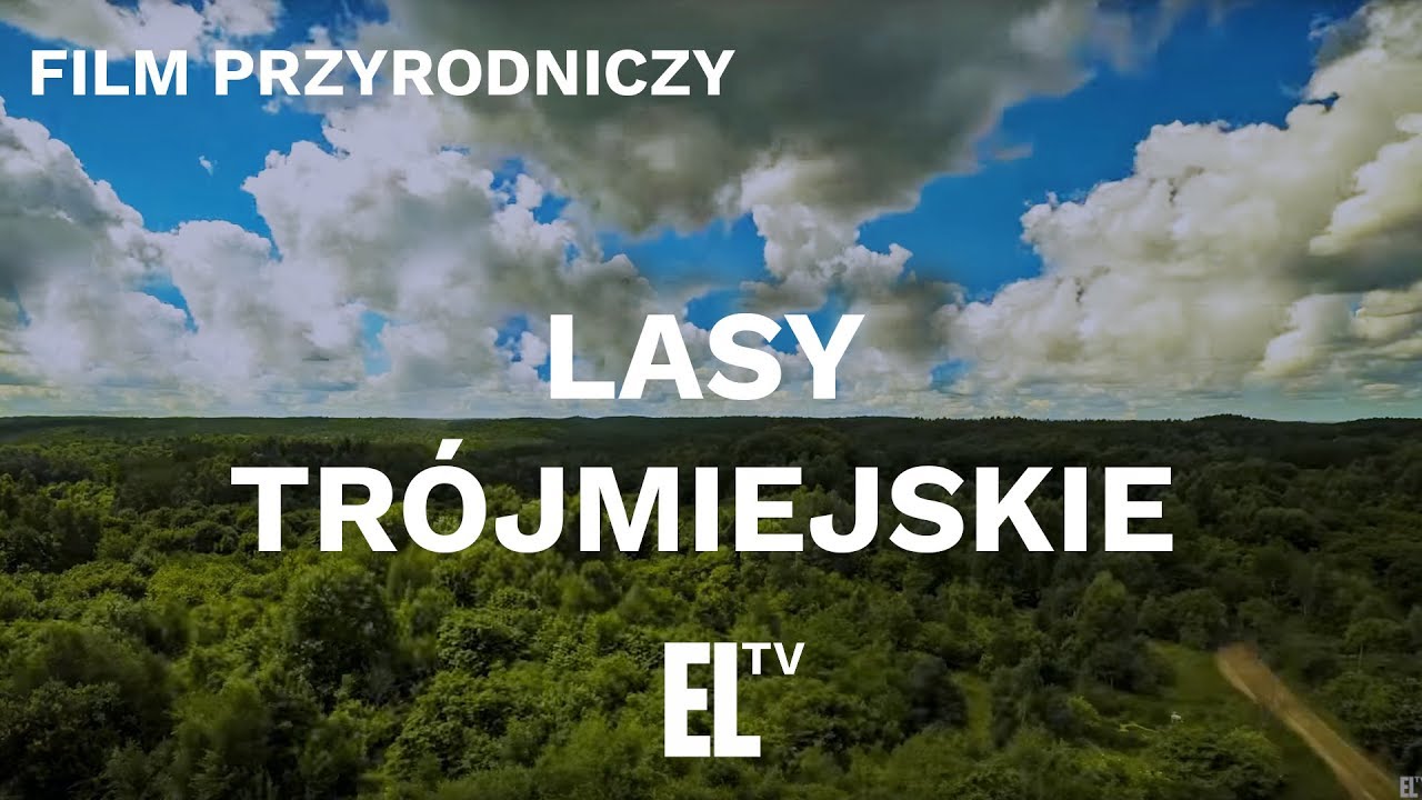 Lasy Trójmiejskie