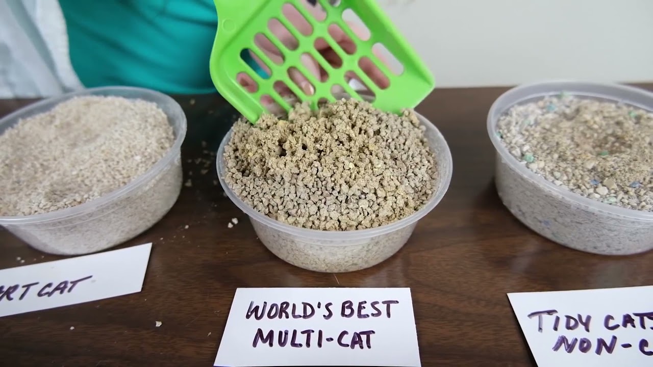 World's Best Cat Litter Multi-Cat Formula Review (We Tried It)