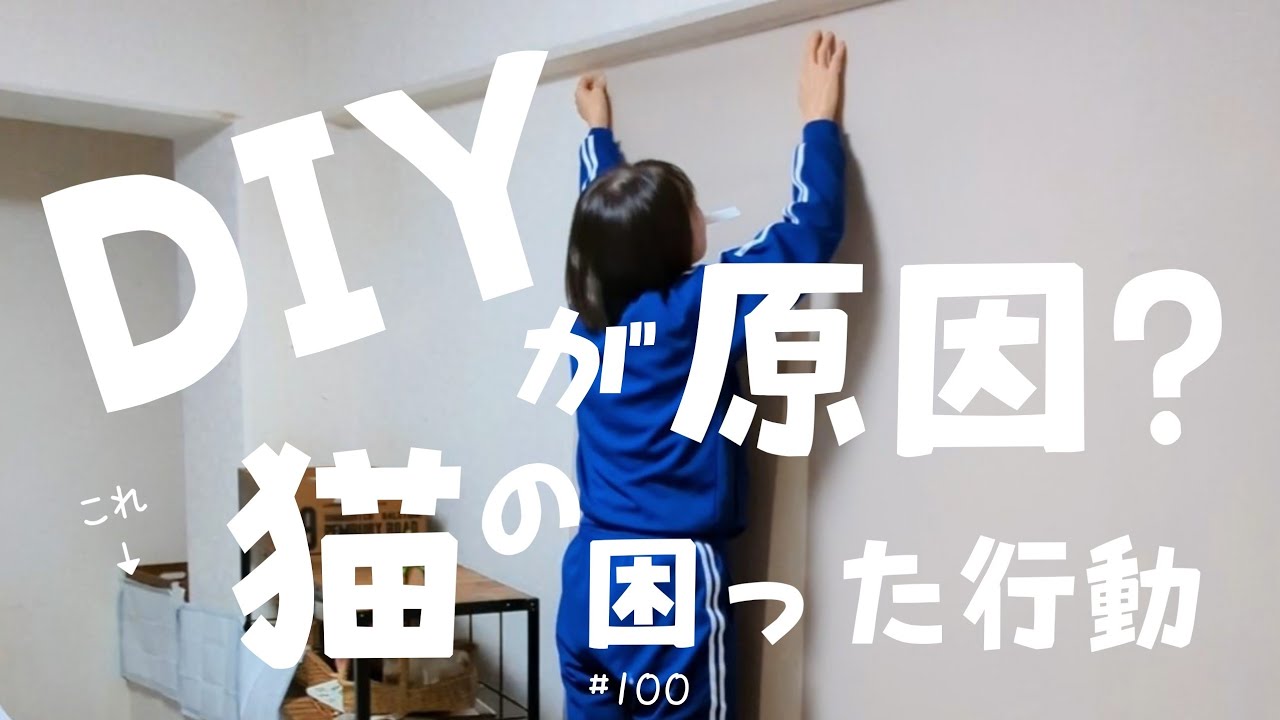 まさかの大惨事！洗面所のDIYしたら大問題になりました 猫のゲージがあってもおしゃれな部屋にリノベ  猫の困った行動 #100