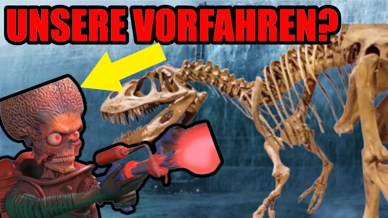 Warum sind TIKTOK VERSCHWÖRUNGSTHEORIEN so absurd? - Hakon reagiert auf @jan_osaft