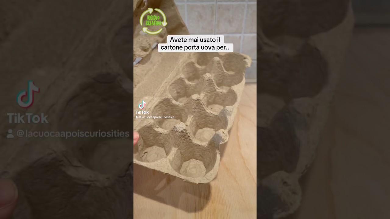 Riciclo ♻️ creativo: IL CARTONE DELLE UOVA #perte