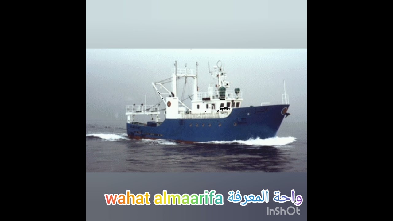 ضباط الصيد البحري الجزء 2 تخصص ضابط ميكانيكي الافاق المهنية و المالية و مجالات الدراسة  العمل