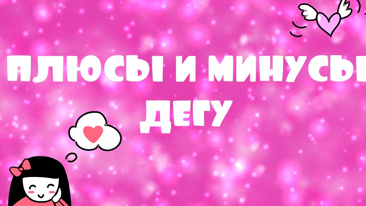 Плюсы и минусы дегу)