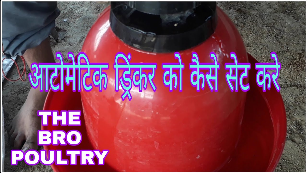 ऑटोमैटिक ड्रिंकर को कैसे सेट करे | भाग-1