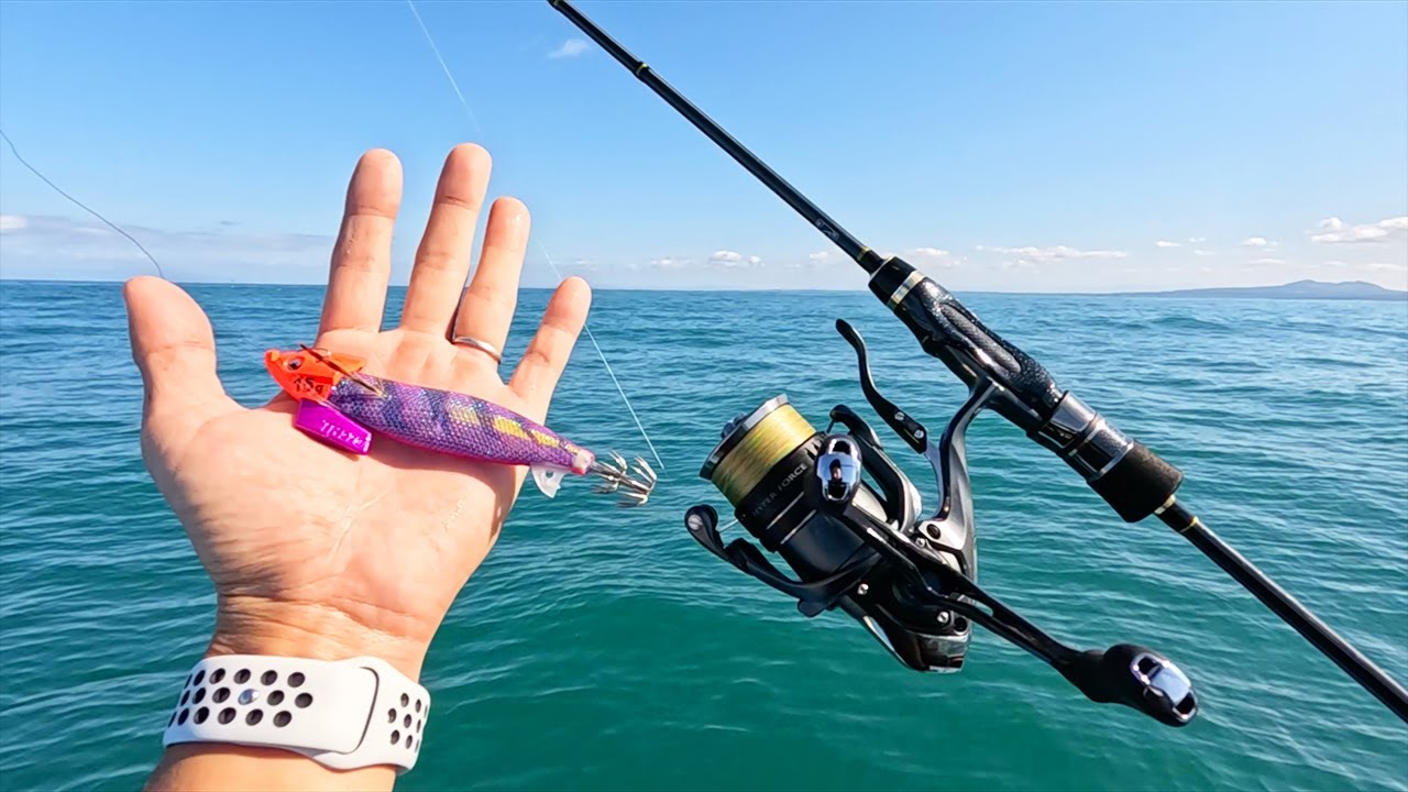 【このエギがマジで釣れる！】アオリイカが食べたいので本気で狙ってみた結果