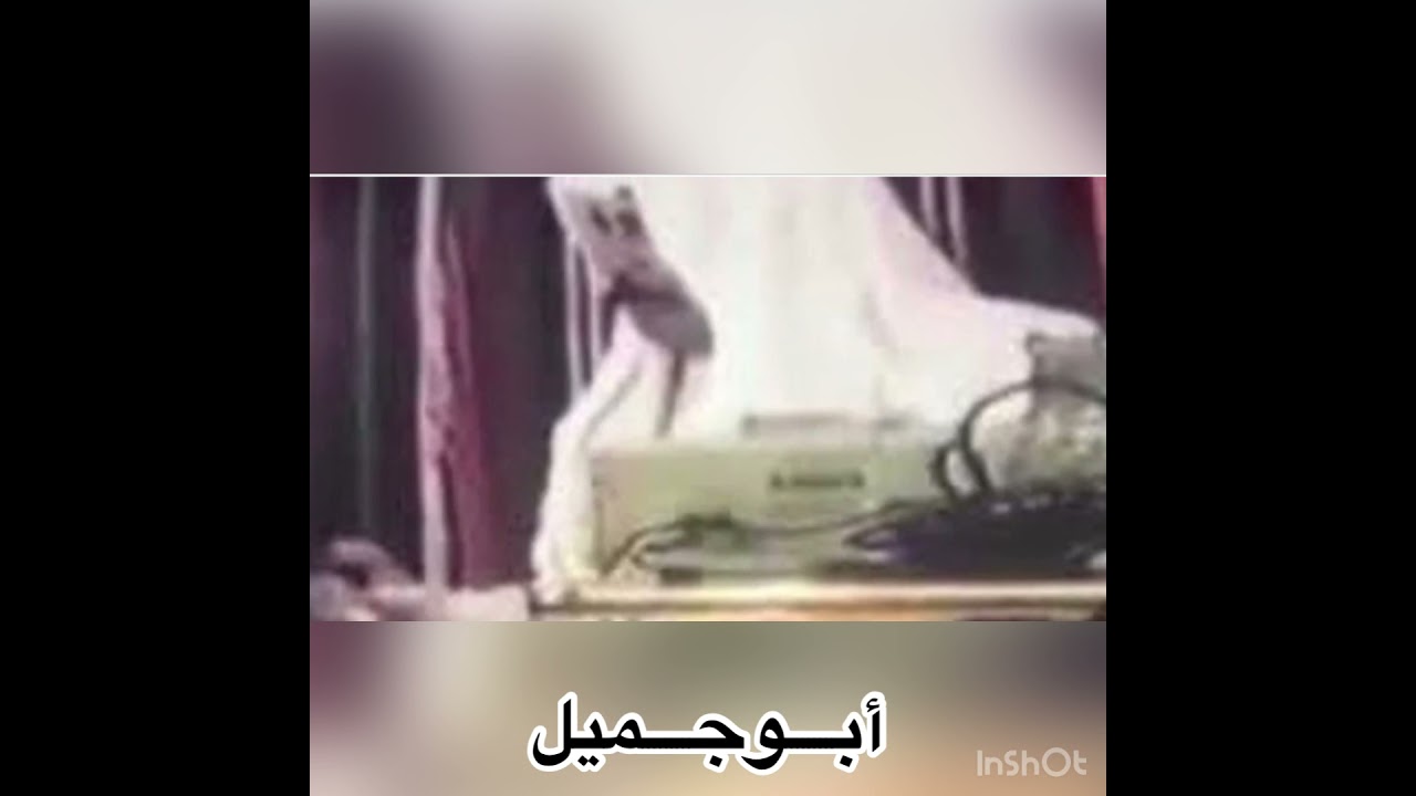 عازف الربابة أبو جميل