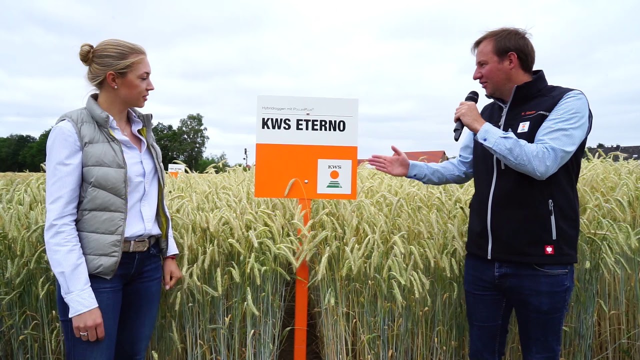 Hybridroggen mit PollenPlus 2019