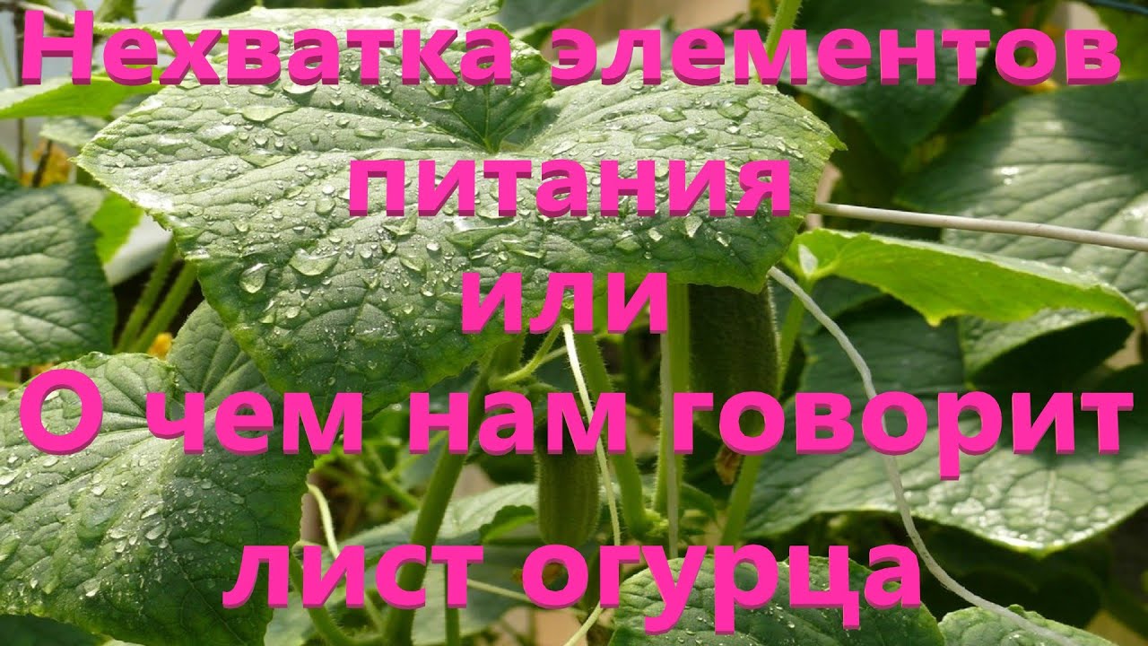 Как определить нехватку элементов по листу