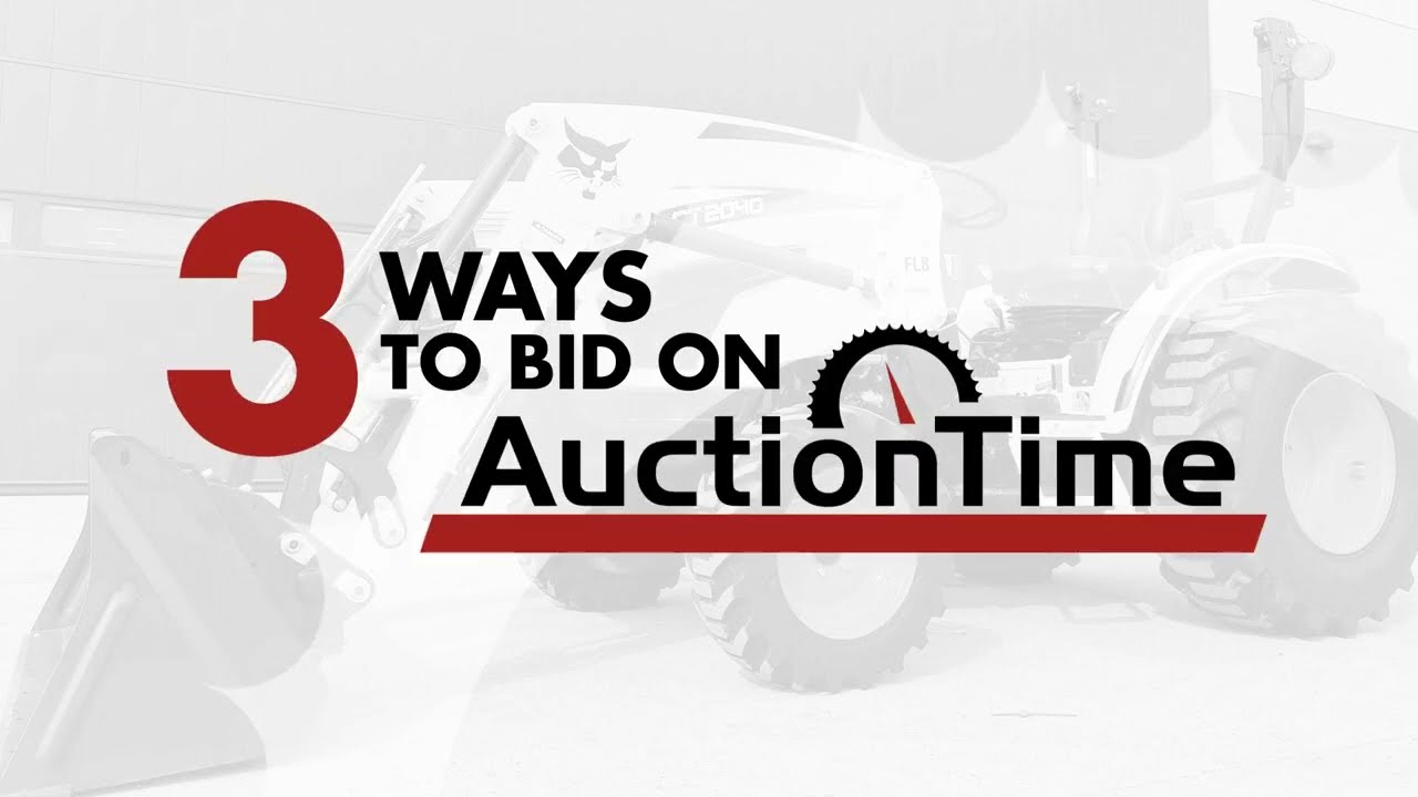 Ways To Bid On AuctionTime