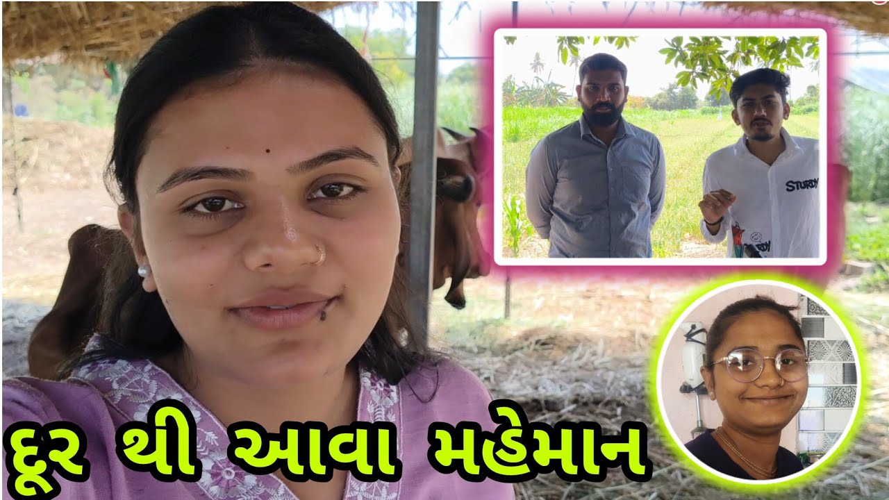 દૂર થી આવા મહેમાન 😊ll Gaushala Ma Aava Maheman ll #hiralahir#farmingfamilyvlogs  