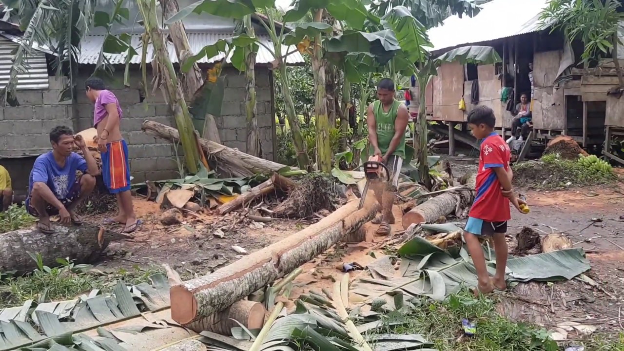 How to Make Coconut Lumber in the Philippines.