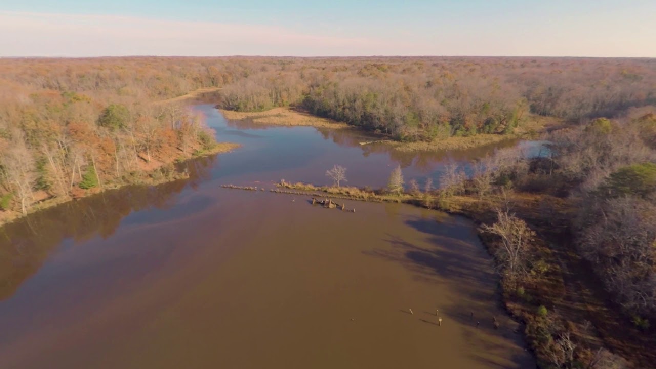 Drone: Mallows Bay, Maryland