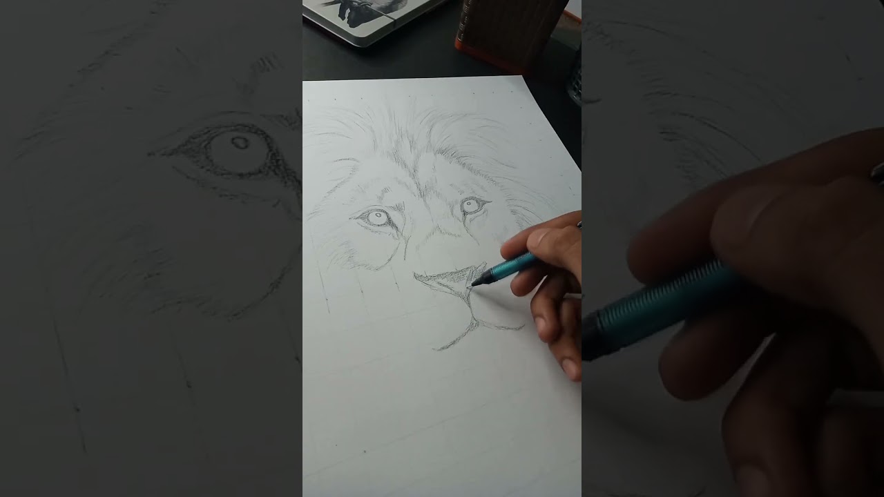 Part- 1 | Draw in Lion with charcoal pencil #lion #sketch #art
