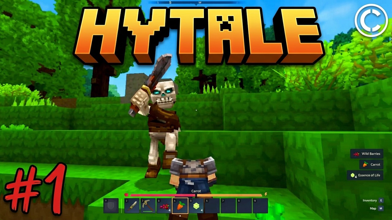 Hytale #1