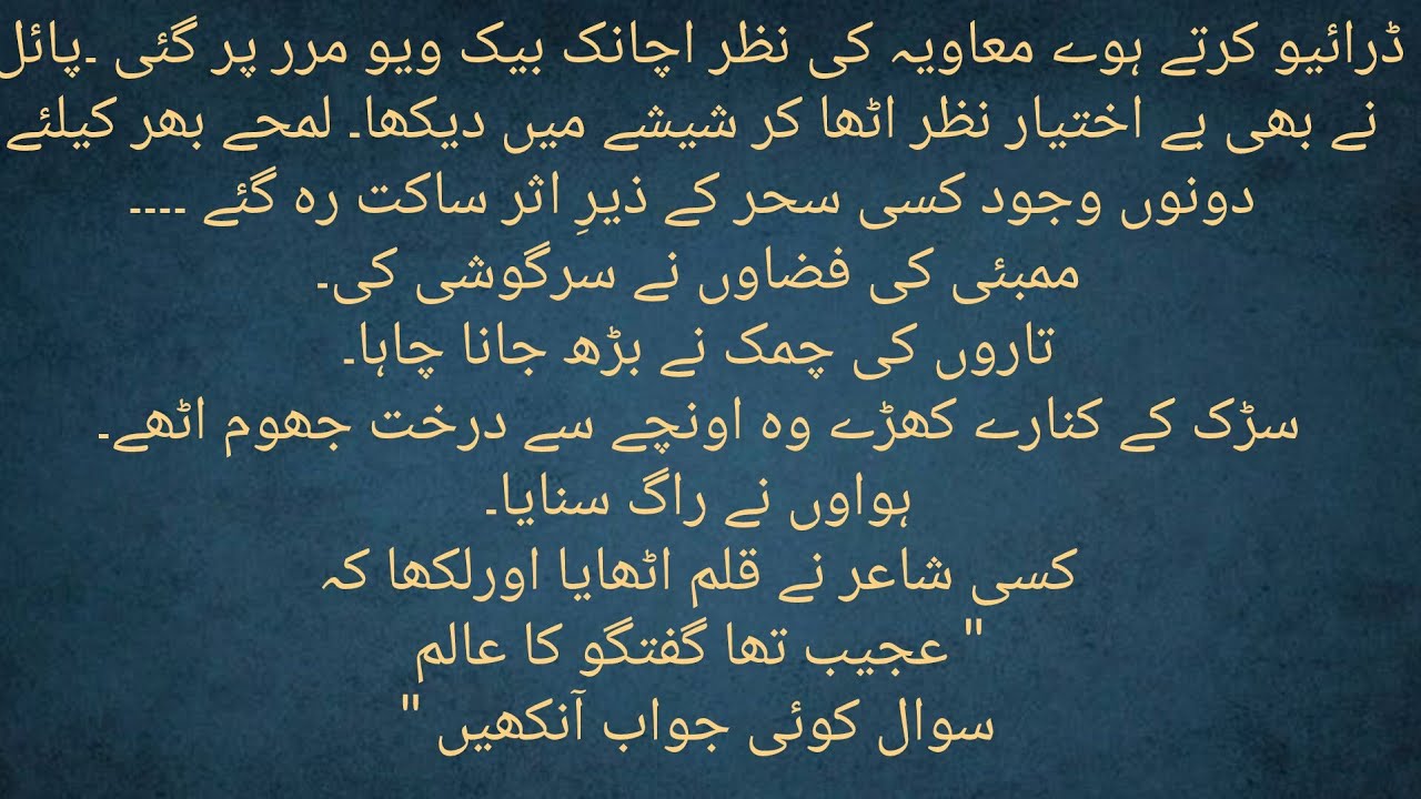 Urdu Novel 