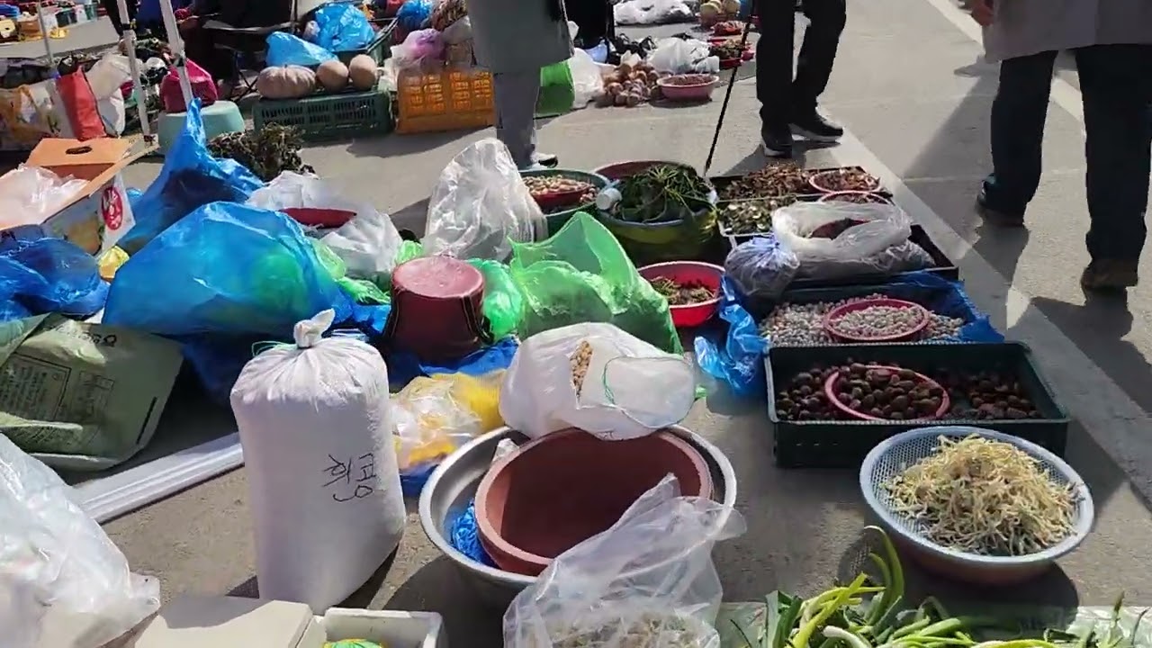강화풍물시장🍀☕️장날