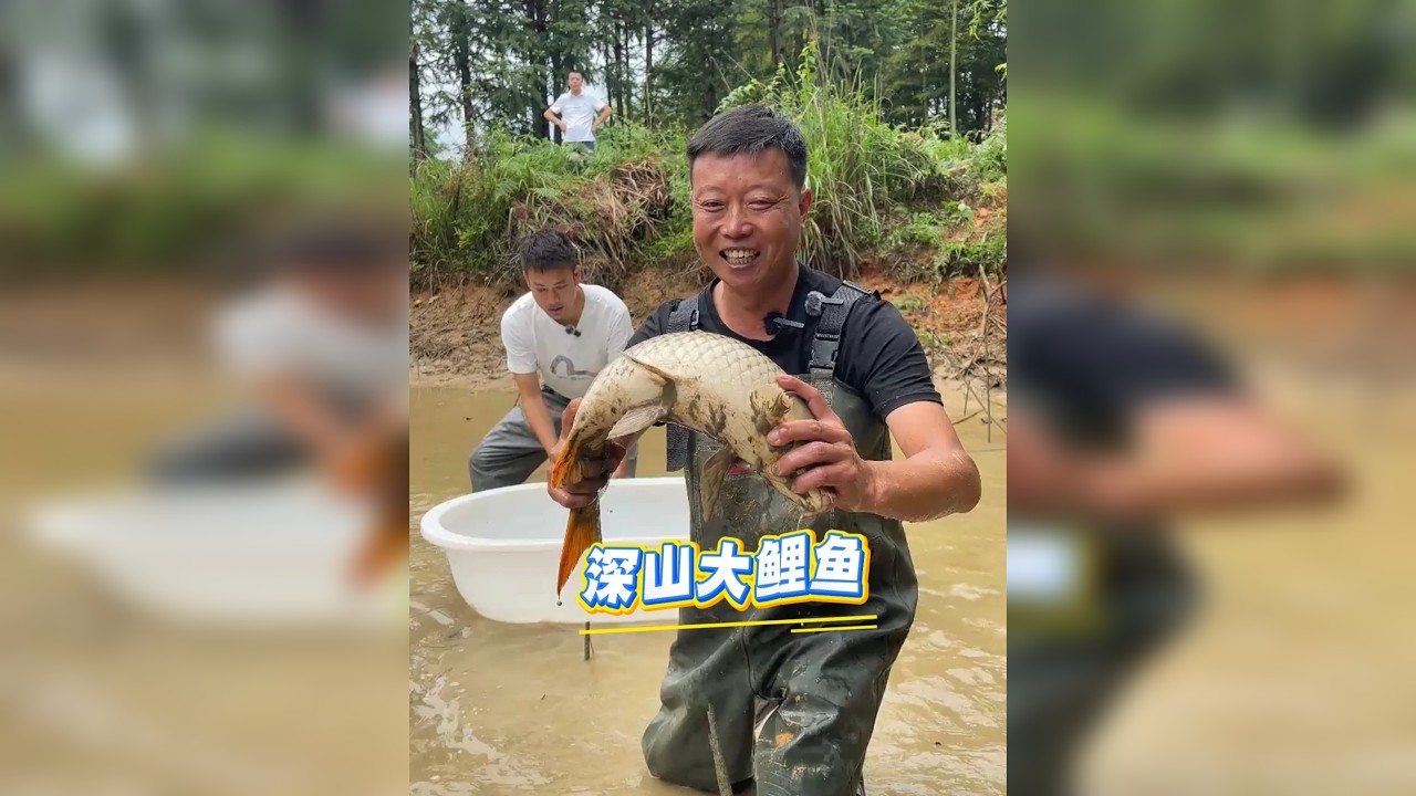 花999元包下粉丝大山里的鱼塘，放水18小时后能抓多少鱼