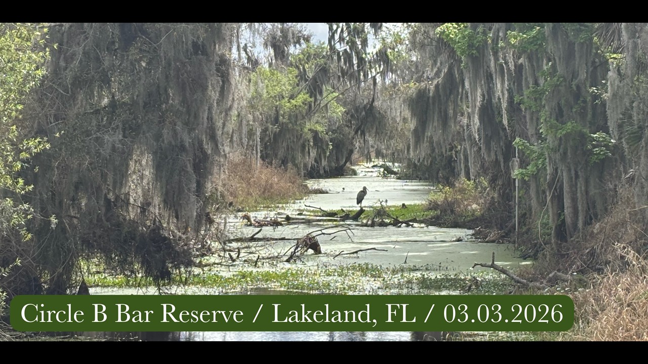 Circle B Bar Reserve / Lakeland, FL / 03.03.2026
