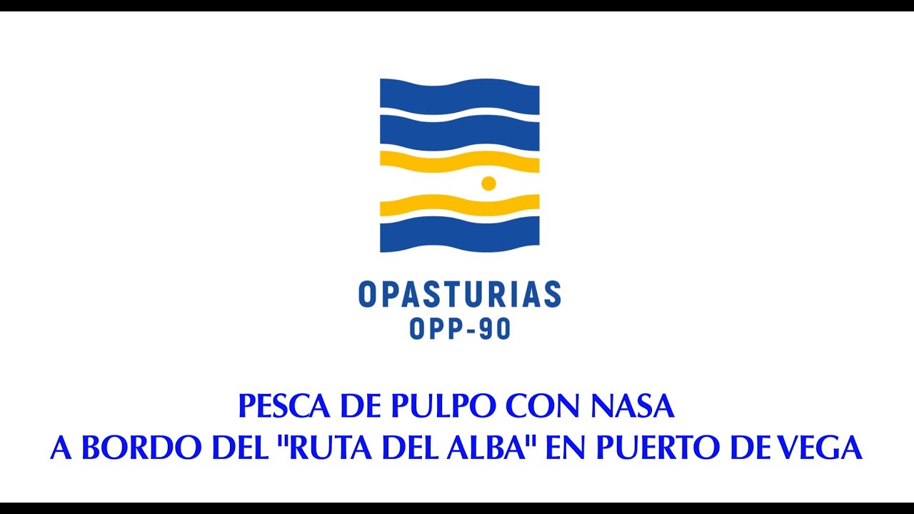 PESCA DE PULPO CON NASA