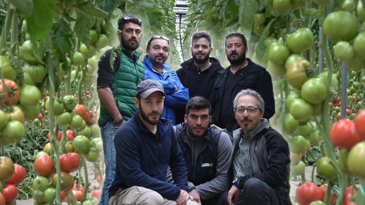 Ποια τομάτα επιλέγει ο Α.Σ. Κάμιρος 