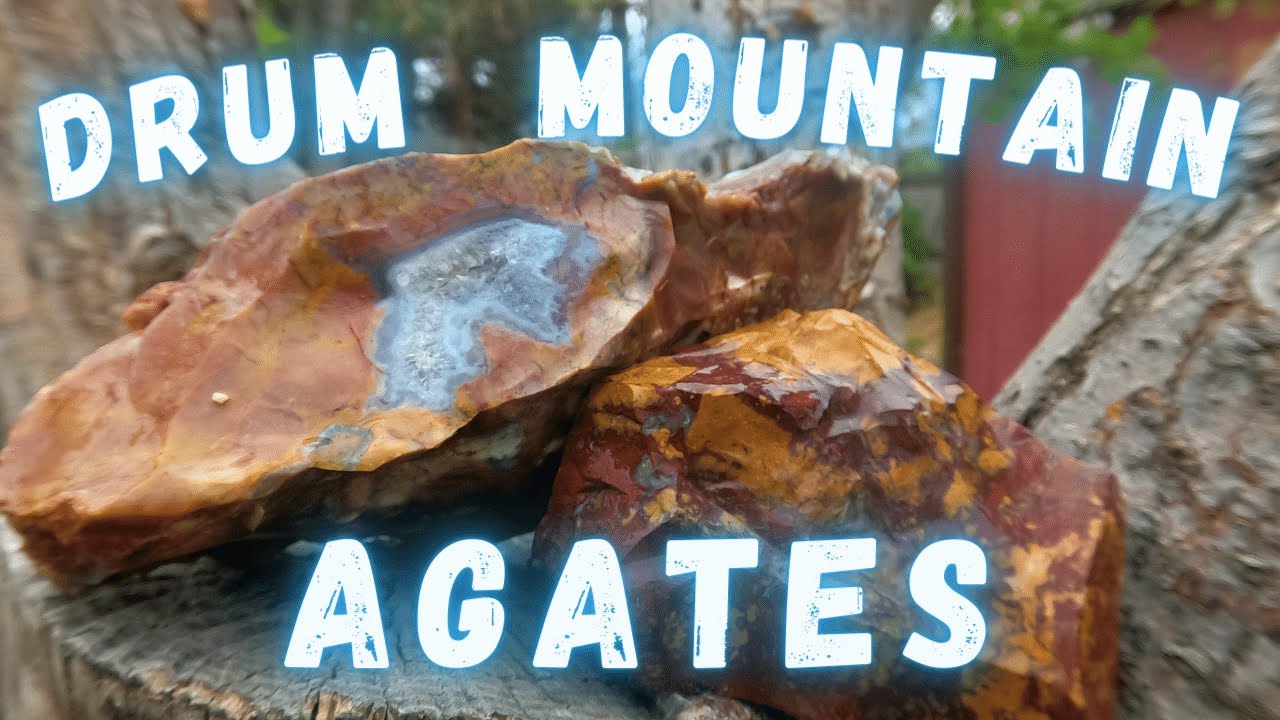 Searching the Drum Mountains for Agate near Topaz Mountain!