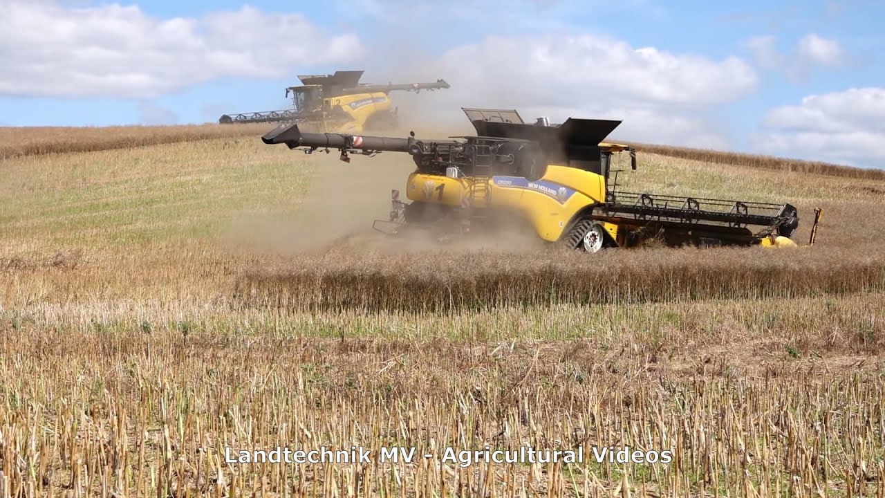 New Holland - Fendt / Rapsernte - Canola Harvest  BT