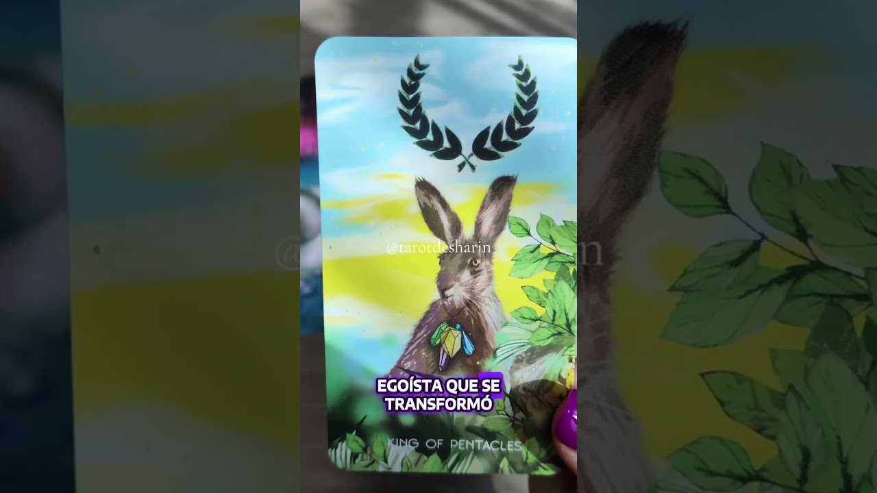 💜DESPUÉS DE HABERTE DESPRECIADO VUELVE A ROGARTE‼️LLEGÓ EL MOMENTO DEL REENCUENTRO HOYTAROT 💜
