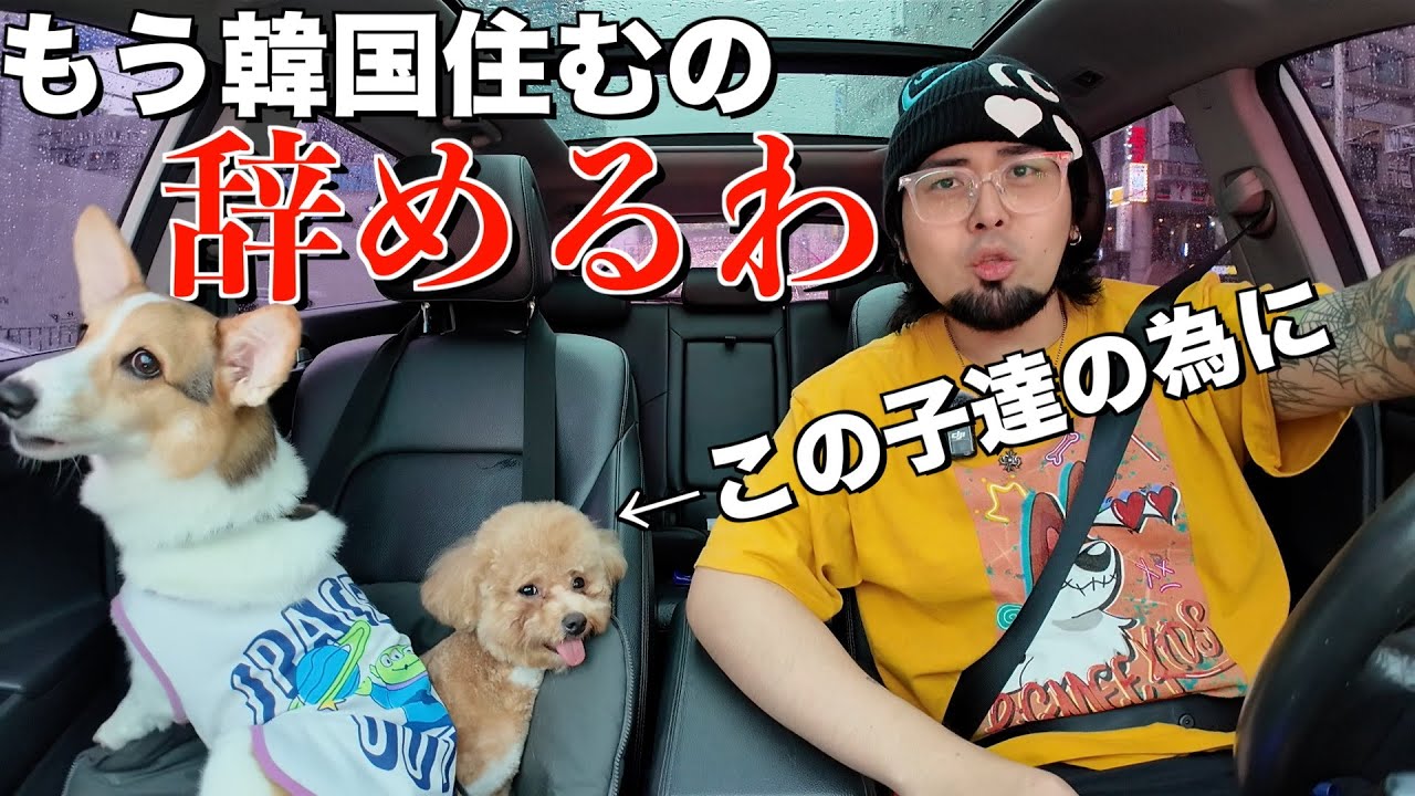 コンジュ達のために日本に住もうと思います【ペットホテルお迎えVlog🐶】