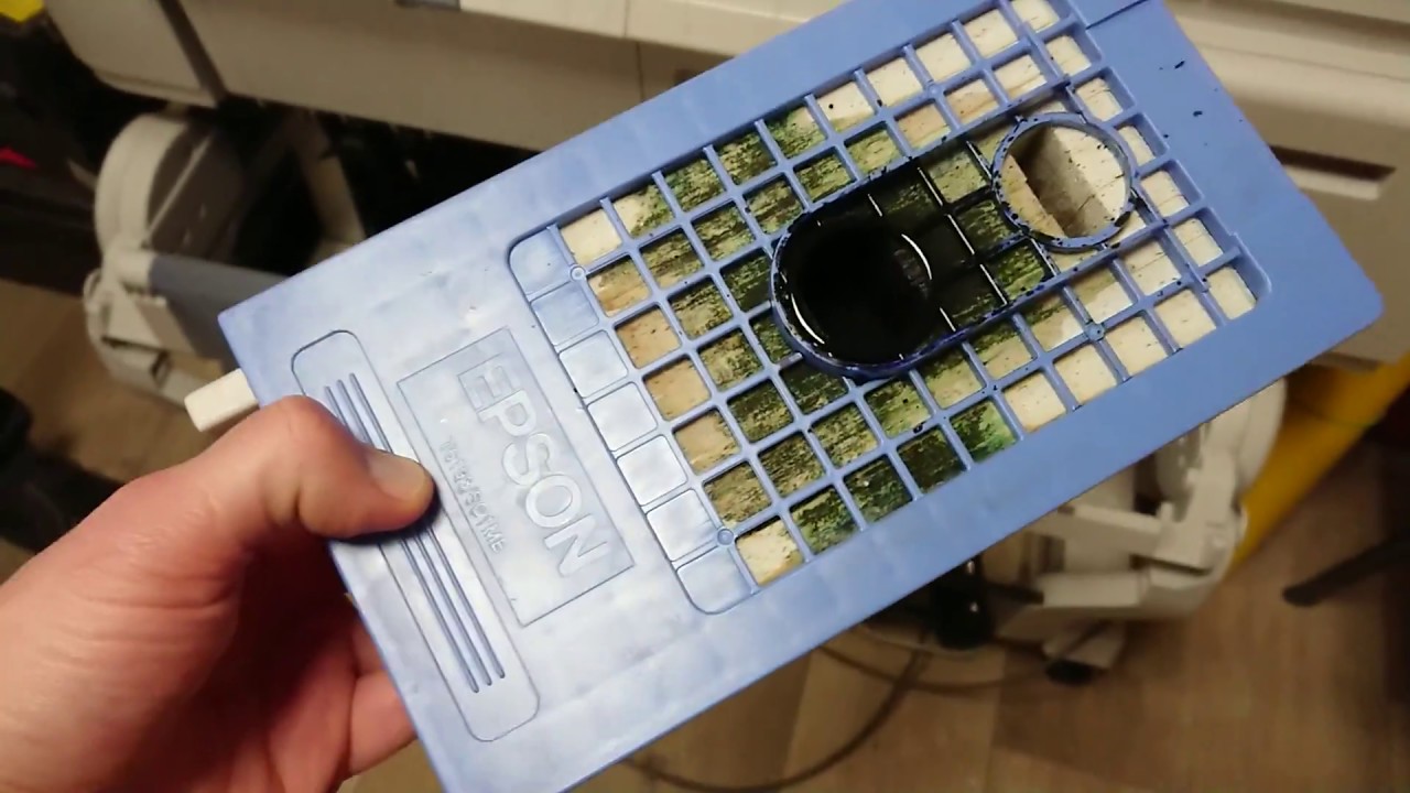 Epson t3200 замена памперса(Maintenance Box) T6193/sc1mb