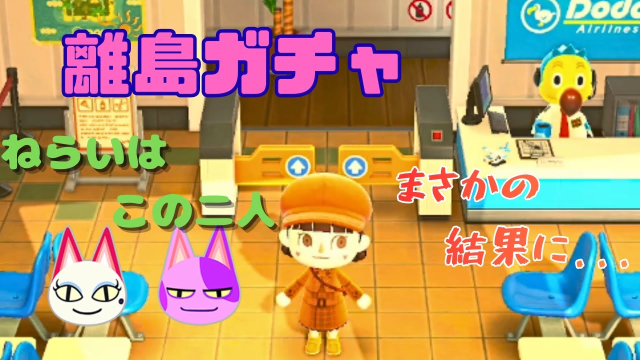 【あつ森】新しい住民を求めて離島ガチャ！　ねらい通り?の神引きしました，ありがとう神様