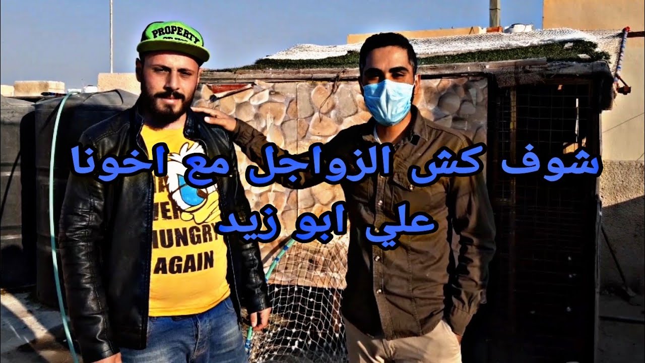 زياره لمربي الزواجل اخونا علي ابو زيد  حمام صواريخ