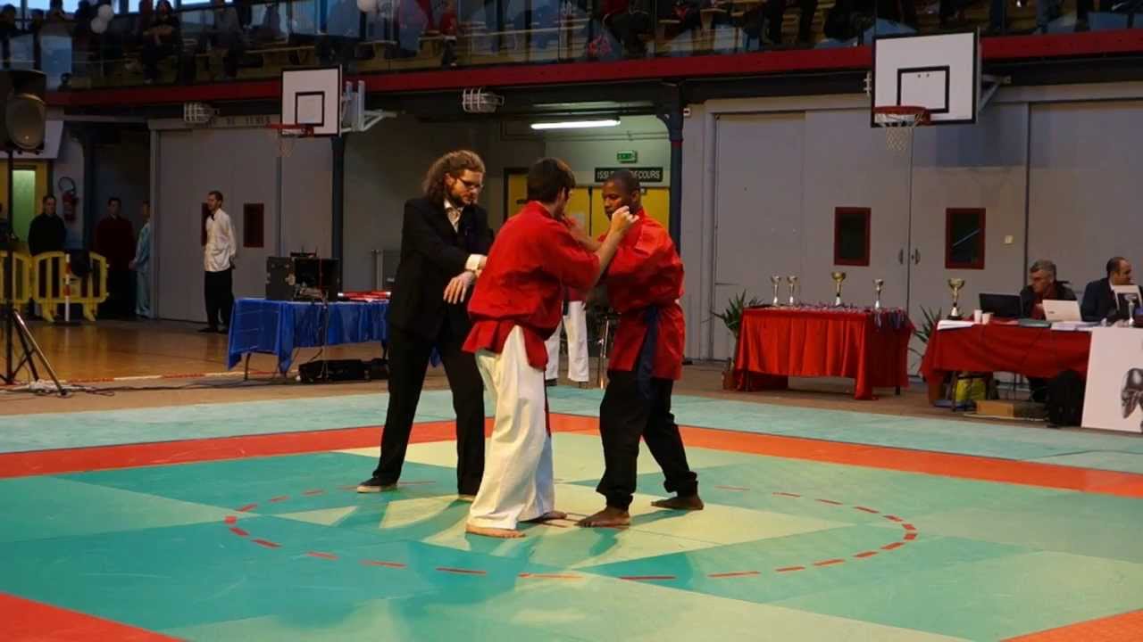Tui Shou : French Championship 2014 (HD)
