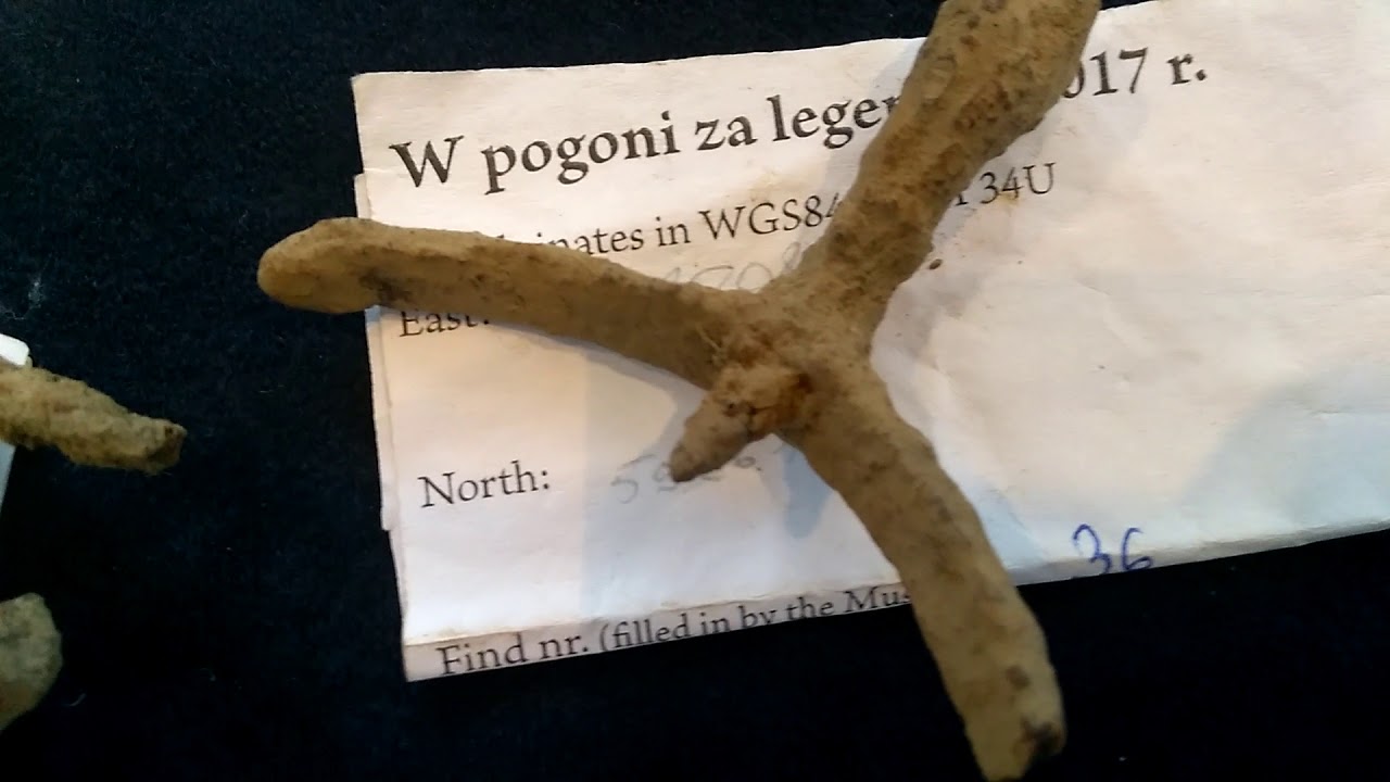 GRUNWALD 1410- EFEKTY BADAŃ 2017 R.