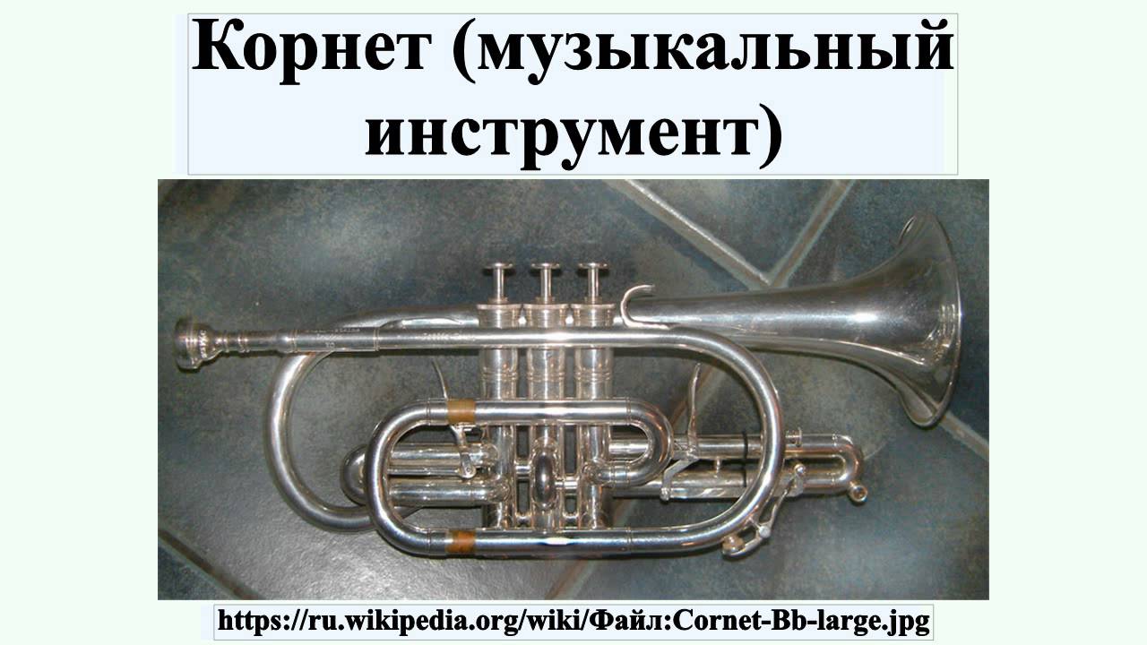 Корнет (музыкальный инструмент)