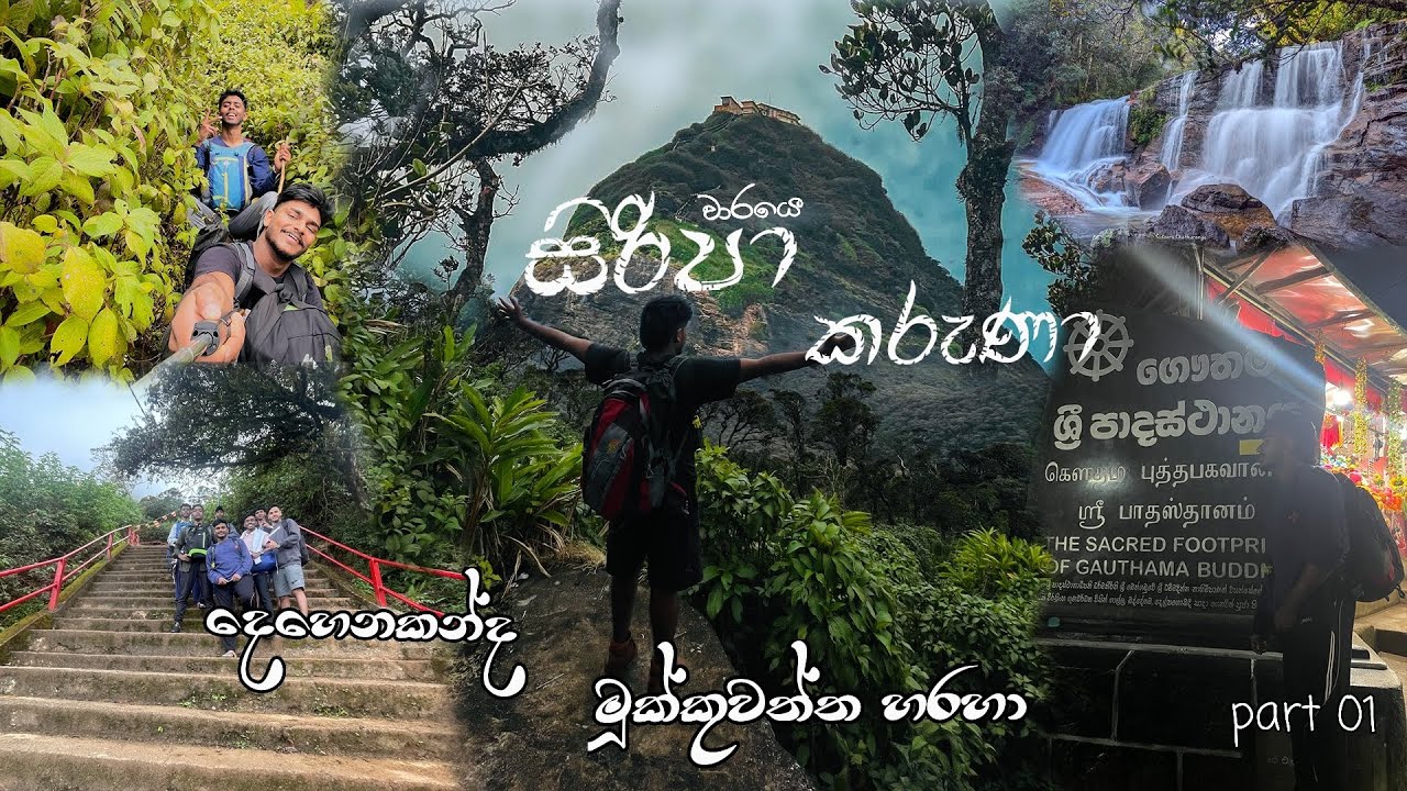 Pilgrimage to sri pada | දෙහෙනකන්ද මූක්කුවත්ත හරහා කැලේ මැදින් උඩ මලුවට | #travel #Adam's peak