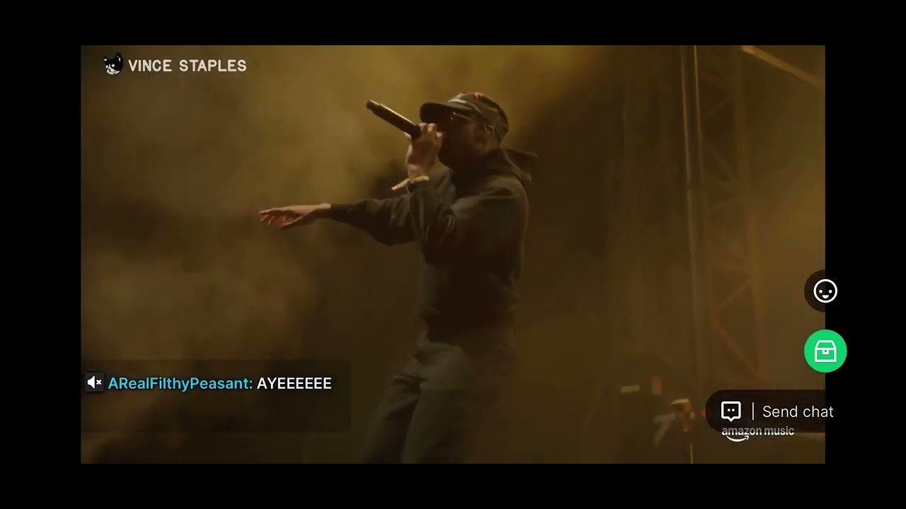Vince Staples - Camp Flog Gnaw 2024 Live Performance