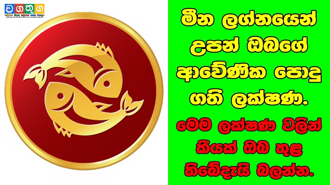Meena Lagna Palapala මින ලග්නයෙන් උපන් ඔබගේ  ආවේණික පොදු ගති  ලක්ෂණ