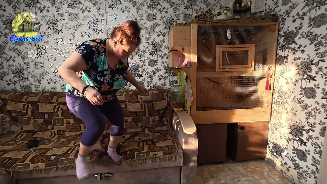 Готовлю попугаев к размножению 