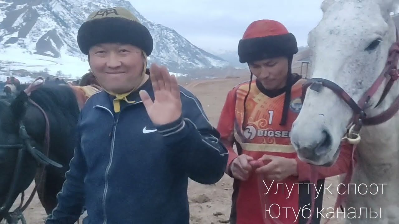 Алайда чон соорунду Жалал-Абаттын аттары терип салды