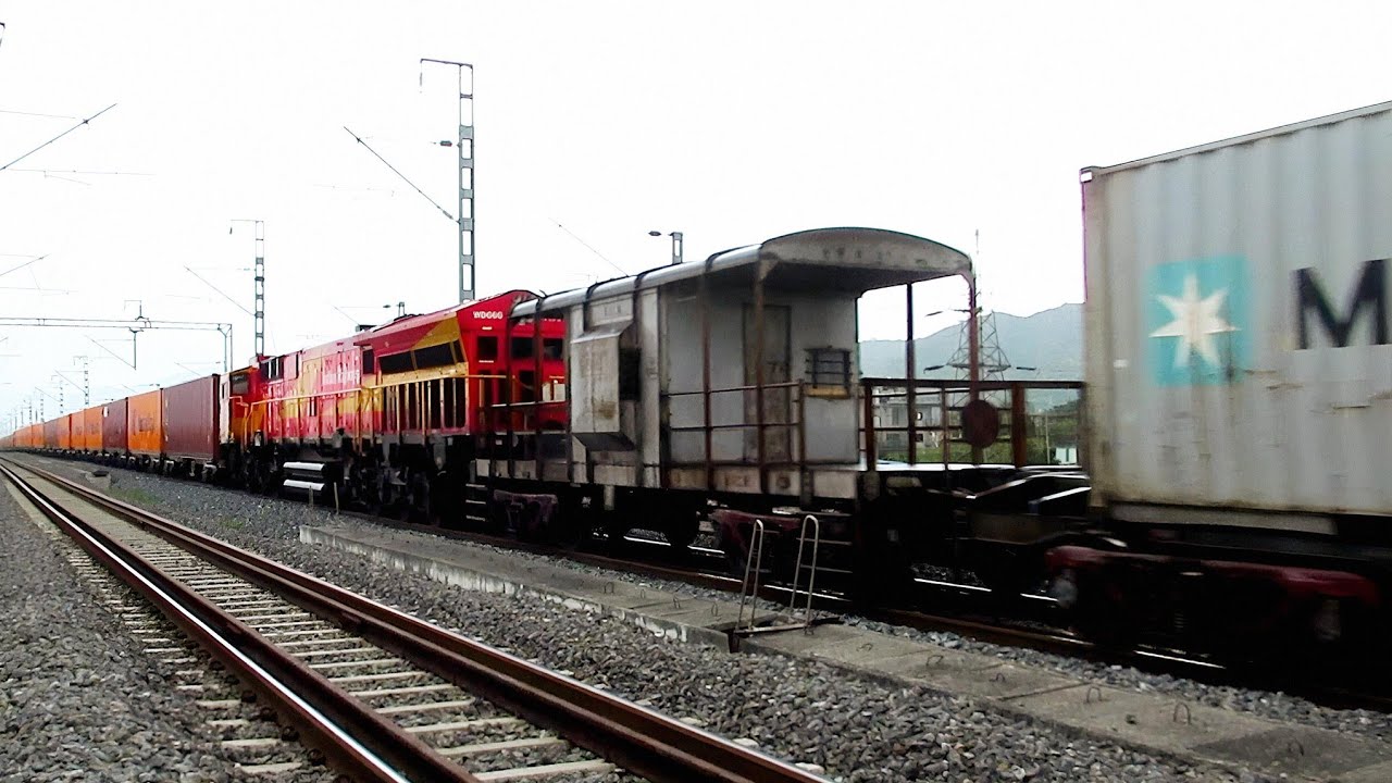 Long Goods Train in India | Python Train + Container Trains | WDG6G + Saiyedpur Bhitri WAG9 + WAG12 