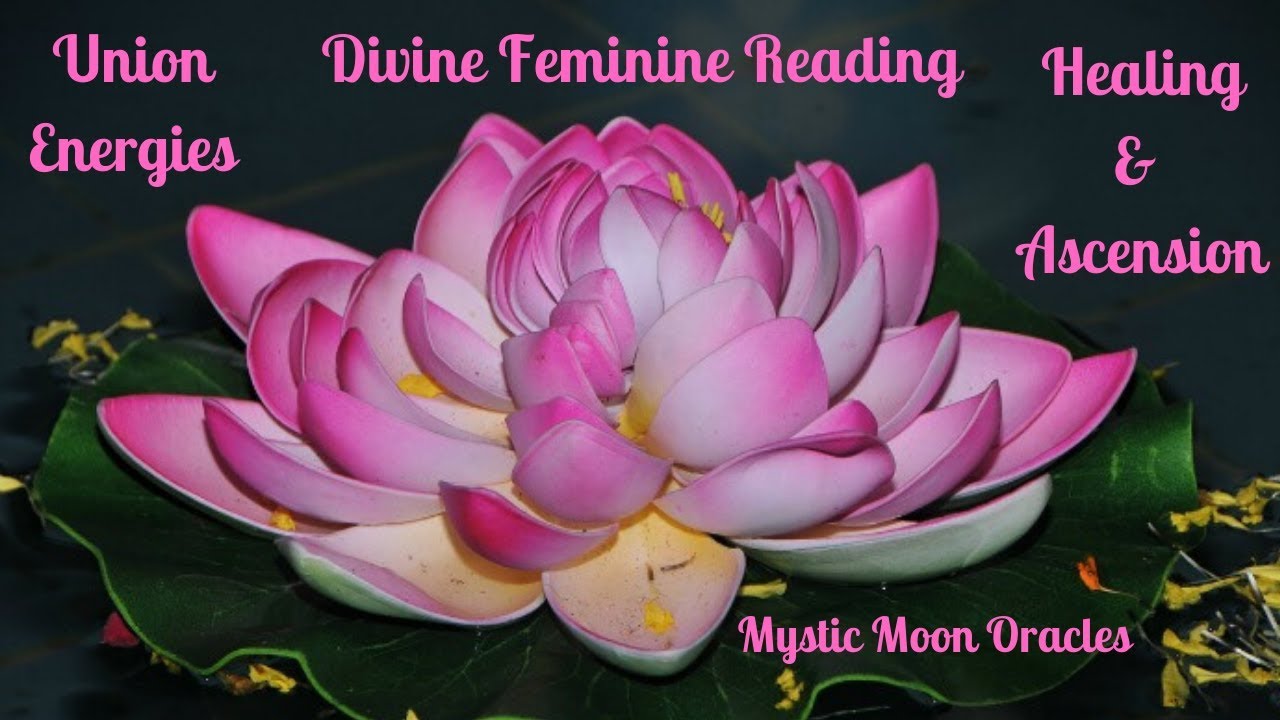 Twin Flame Reading - DF Messages - An Irresistible Pull Towards You - Timeless Energies