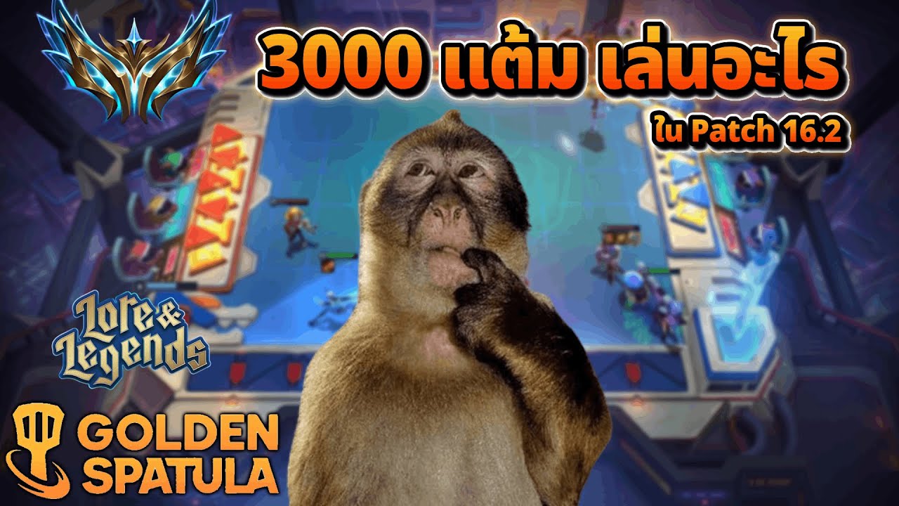 คู่มือการตัดสินใจเลือกคอมพ์ฉบับผู้เล่นท็อปเชิฟ! เล่นอะไรให้ปังทุกเกม | Golden Spatula Set 16